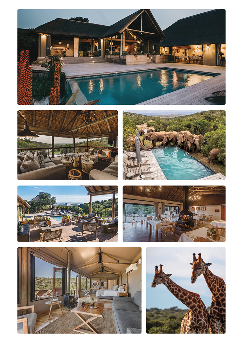 Bukela Game Reserve   Lion Roars Hotels & Lodges   Wedding Destination2